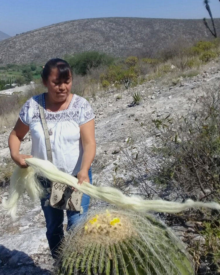 agave bath mitt