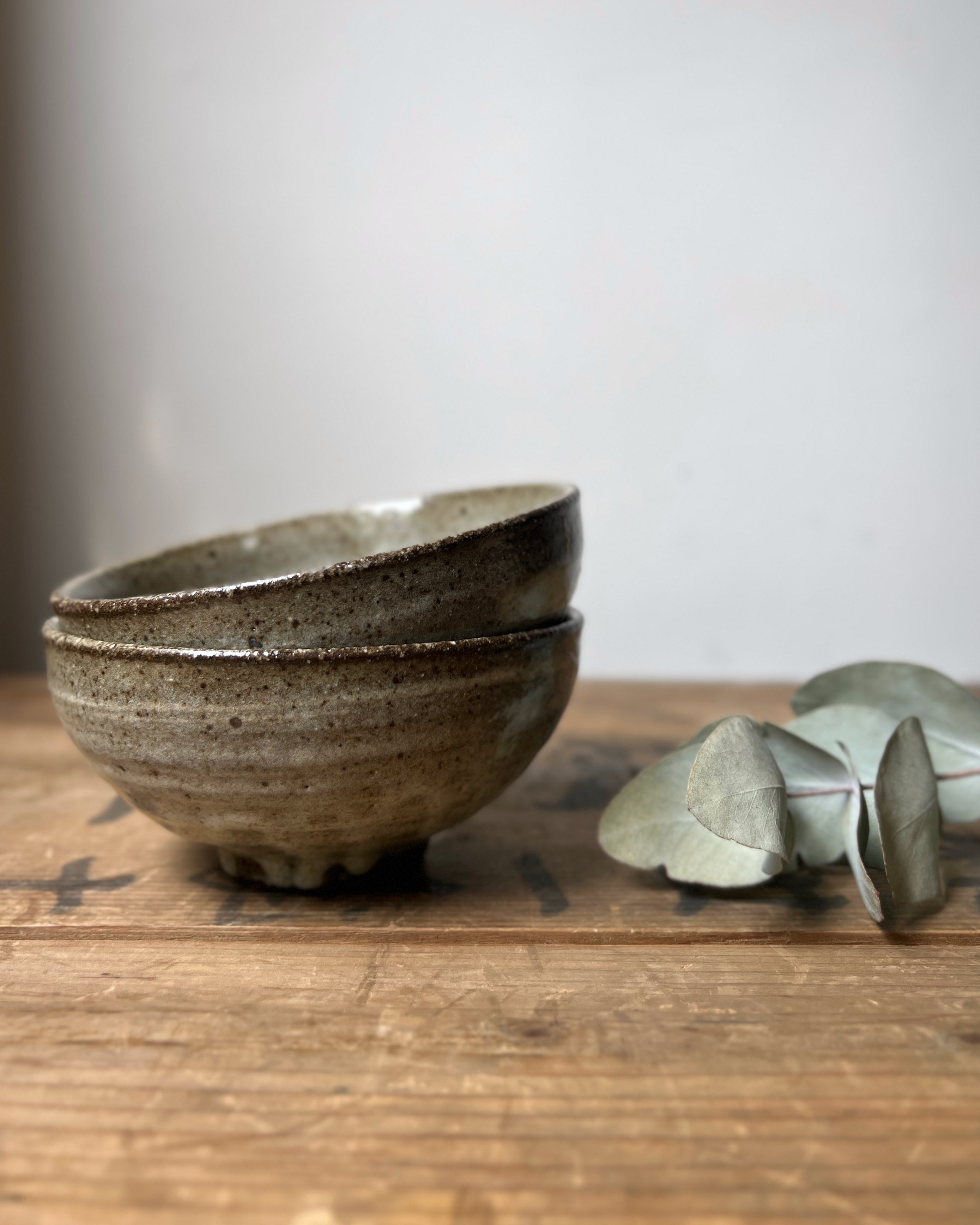 hechimon : shigaraki bowl