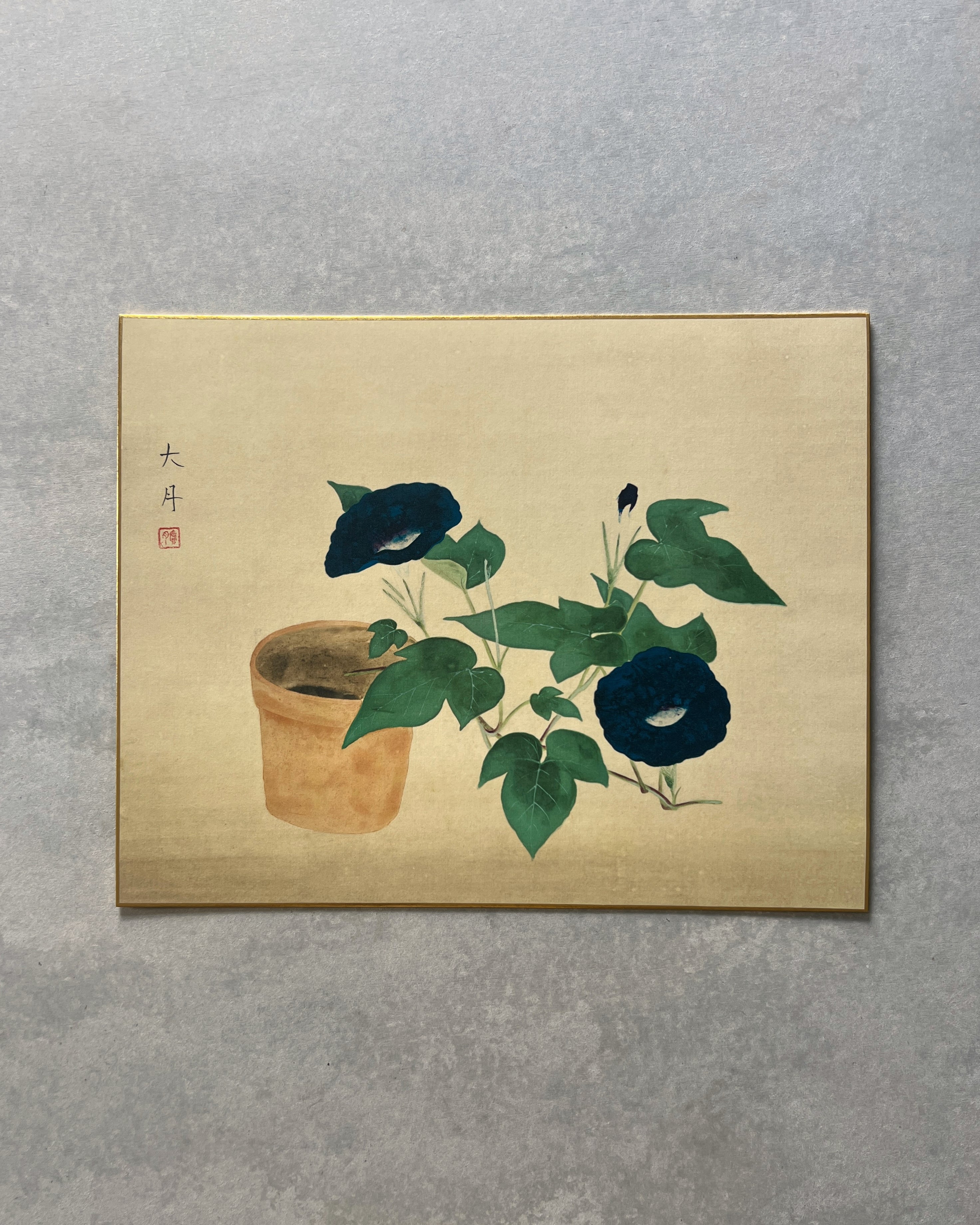 vintage japanese shikishi print : morning glory