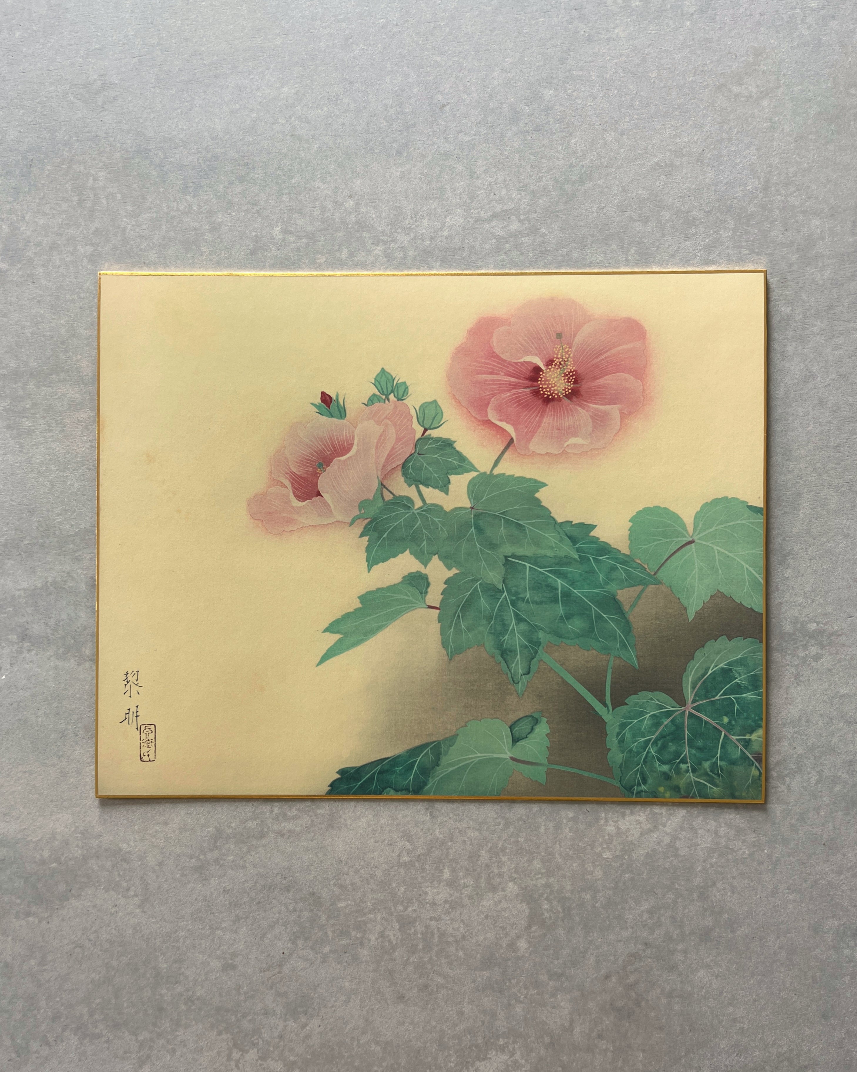 vintage japanese shikishi print : hibiscus