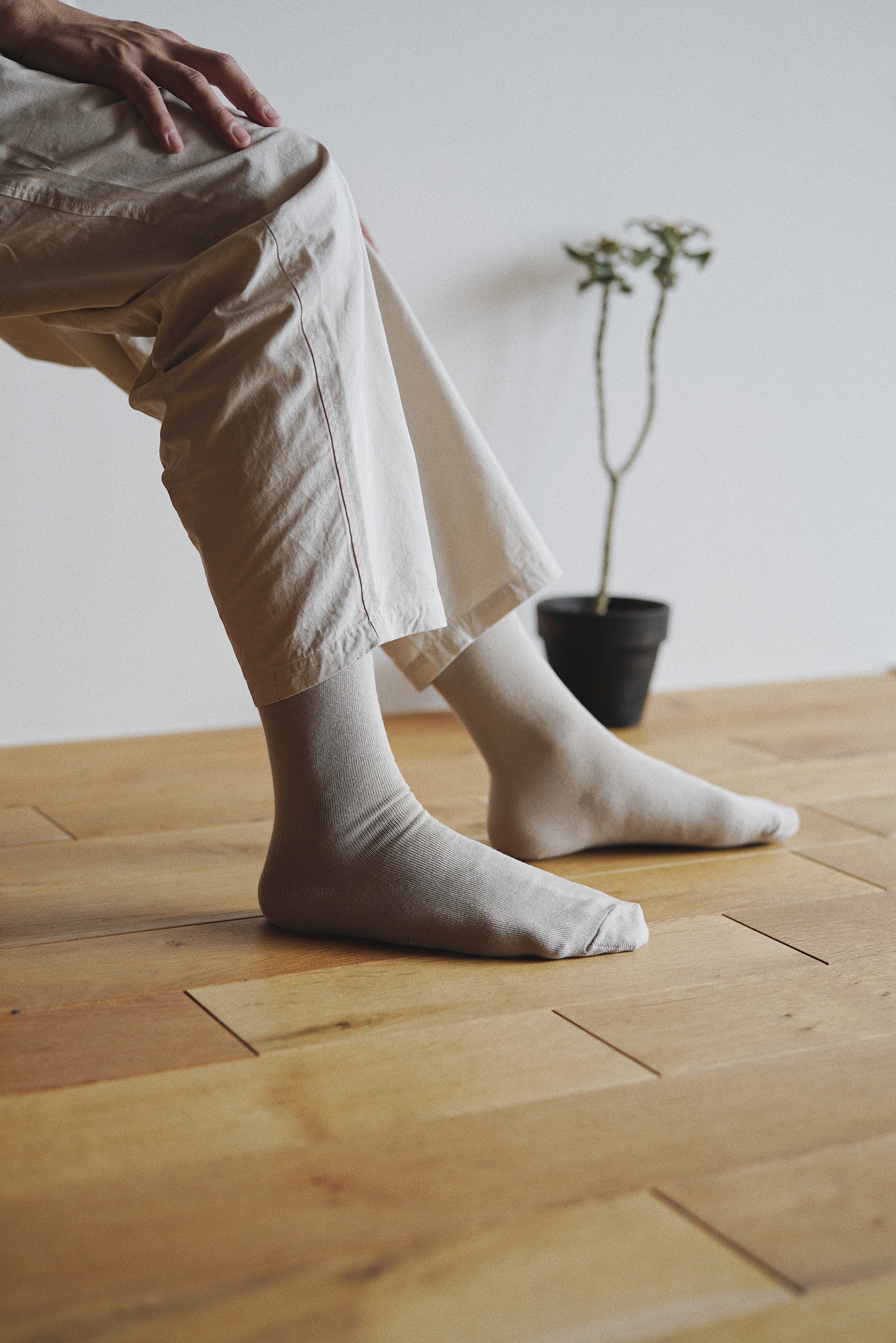 nishiguchi kutsushita : praha egyptian cotton plain sock