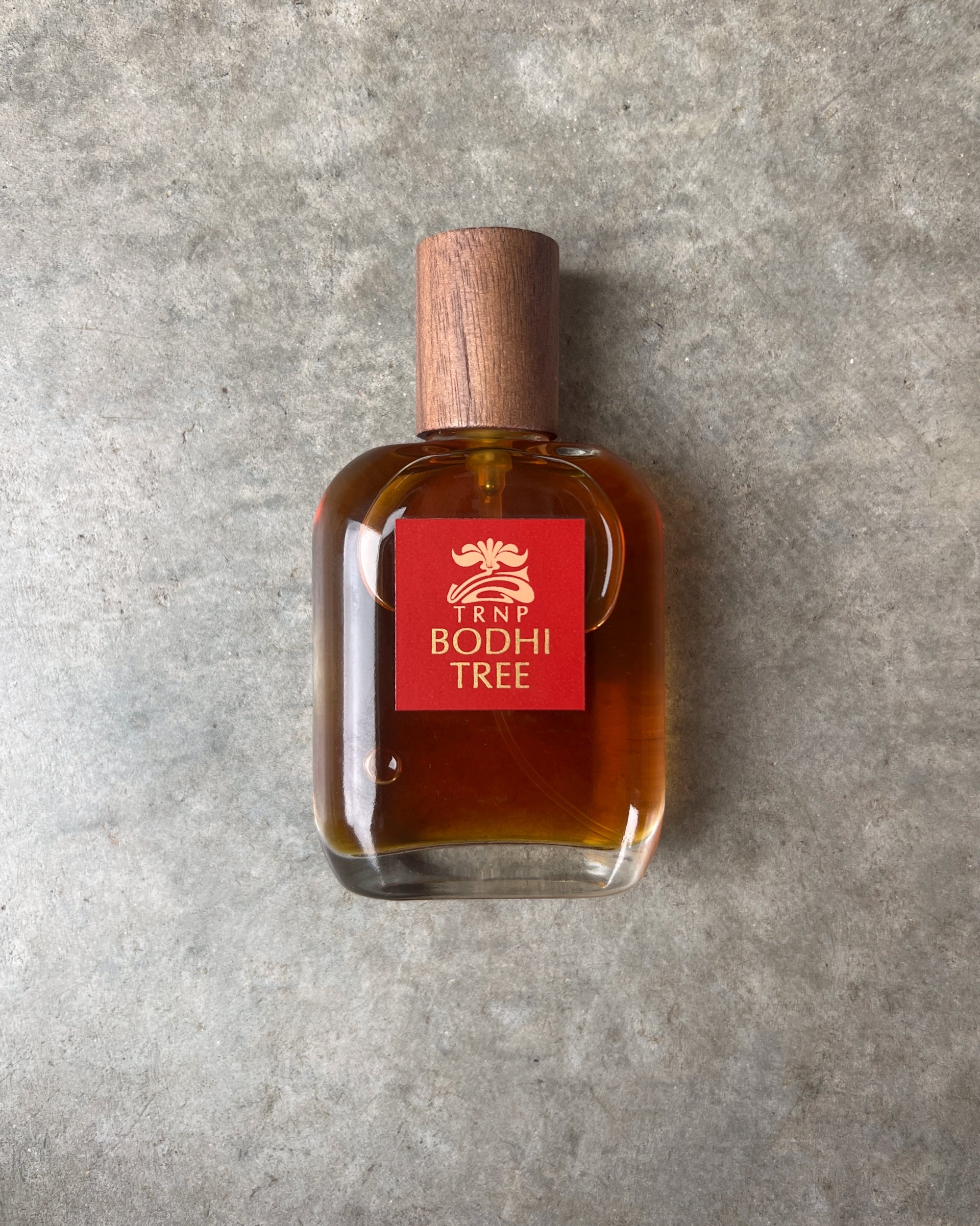 Teone Reinthal perfume : bodhi tree 