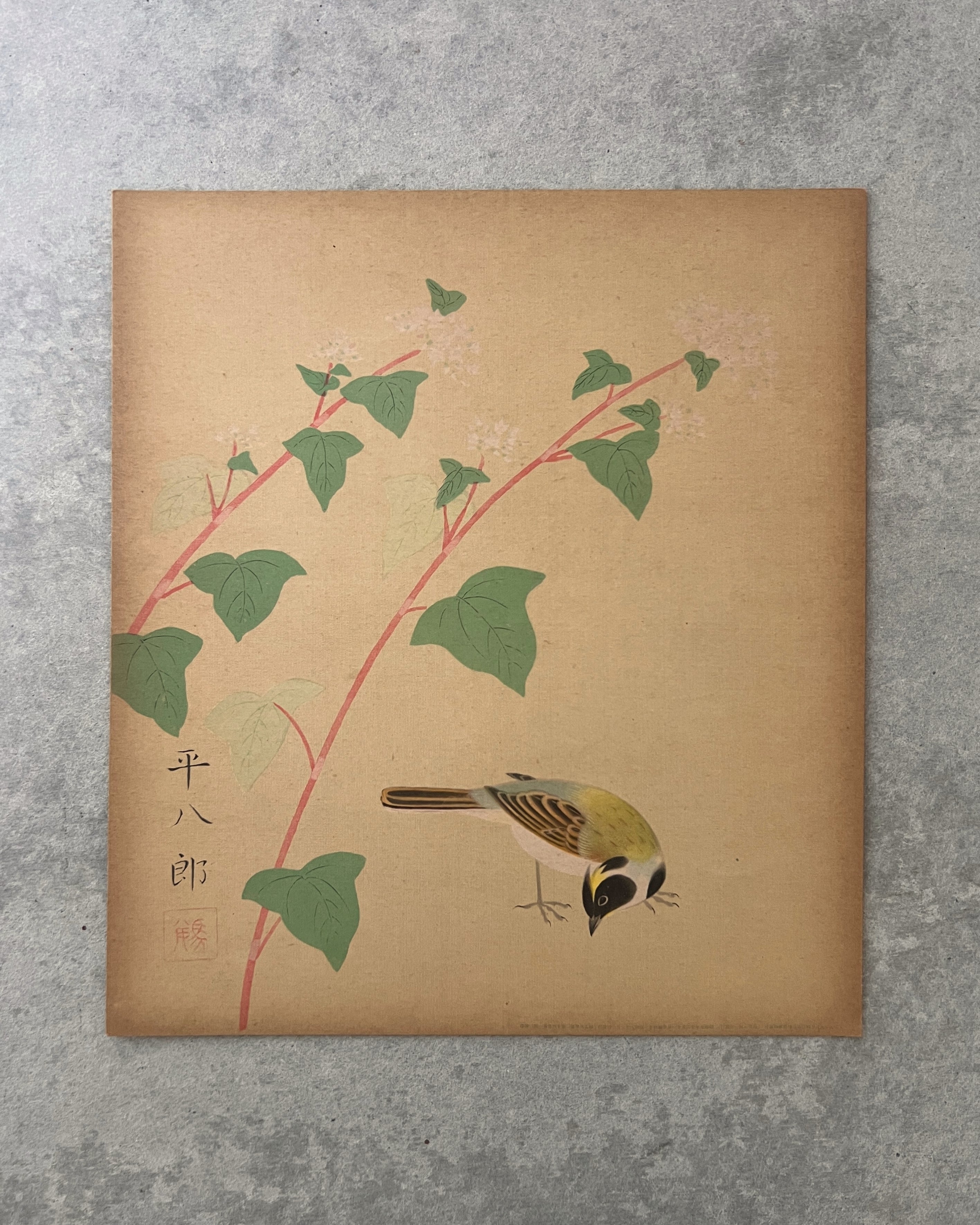 vintage shikishi print : finch & flower